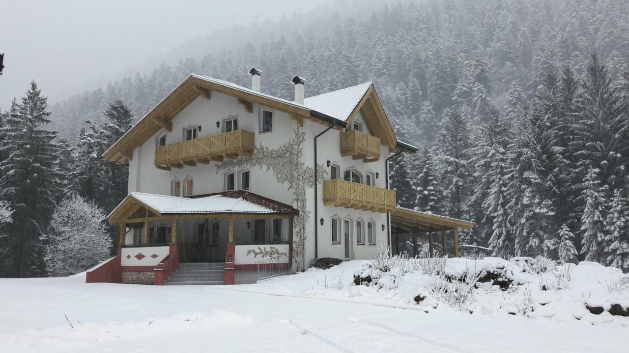 Genzianella Molveno-Andalo Lägenhet Exteriör bild