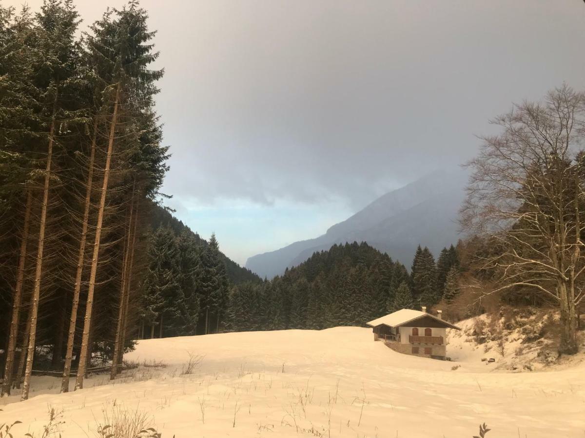 Genzianella Molveno-Andalo Lägenhet Exteriör bild