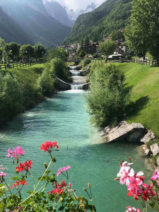 Genzianella Molveno-Andalo Lägenhet Exteriör bild
